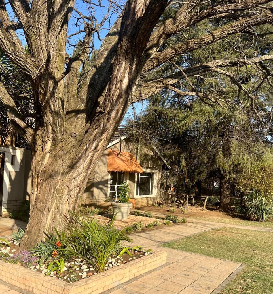 Silken Trap Accommodation No Loadshedding Johannesburg Eksteriør bilde